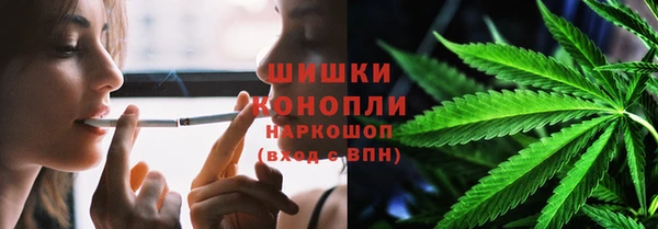 ГАЛЛЮЦИНОГЕННЫЕ ГРИБЫ Остров