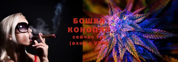 мдпв Пересвет