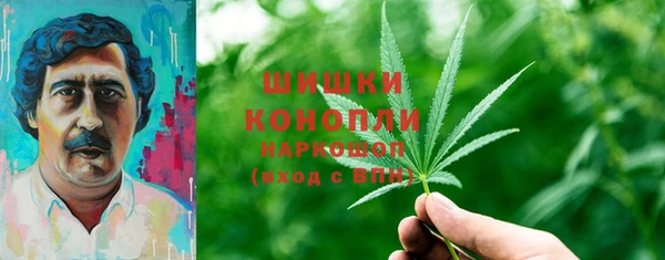 дурь Осташков