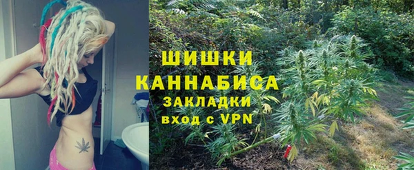 дурь Осташков