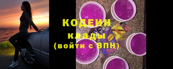 дурь Осташков