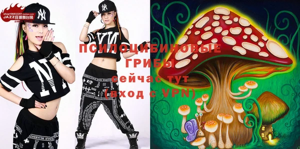 дурь Осташков