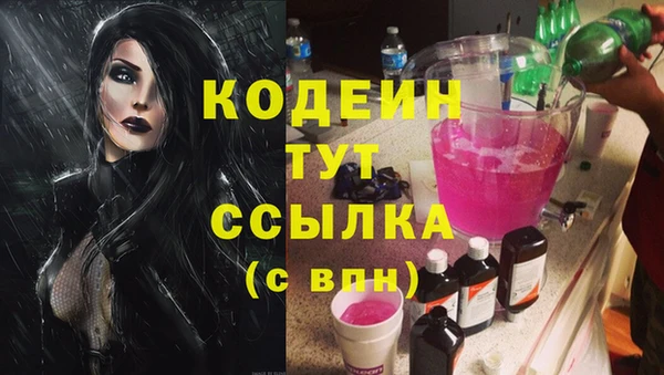 дурь Осташков