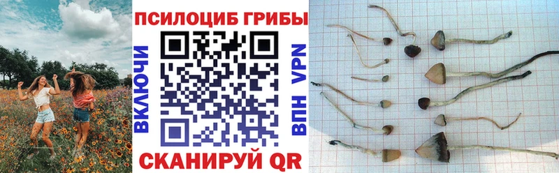 Галлюциногенные грибы Magic Shrooms  Купить где  Себеж 