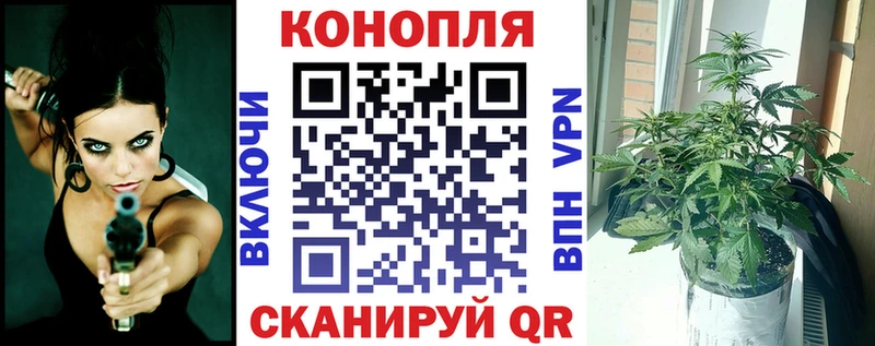 Купить где Себеж Бошки Шишки тримм